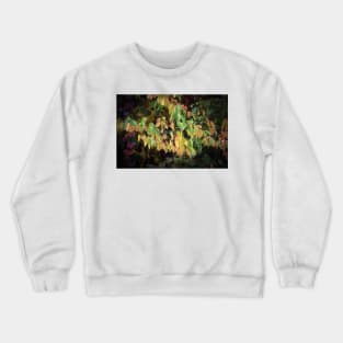 Autumn Colours all together Crewneck Sweatshirt